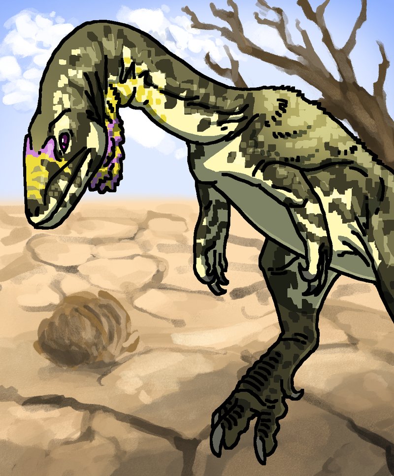 Coelophysis