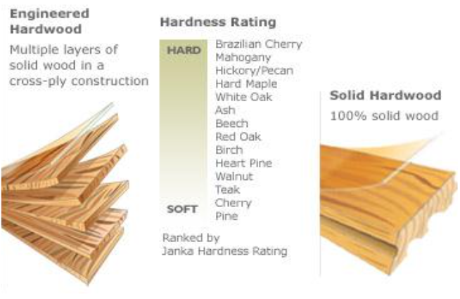 Hardwoodvssoftwood
