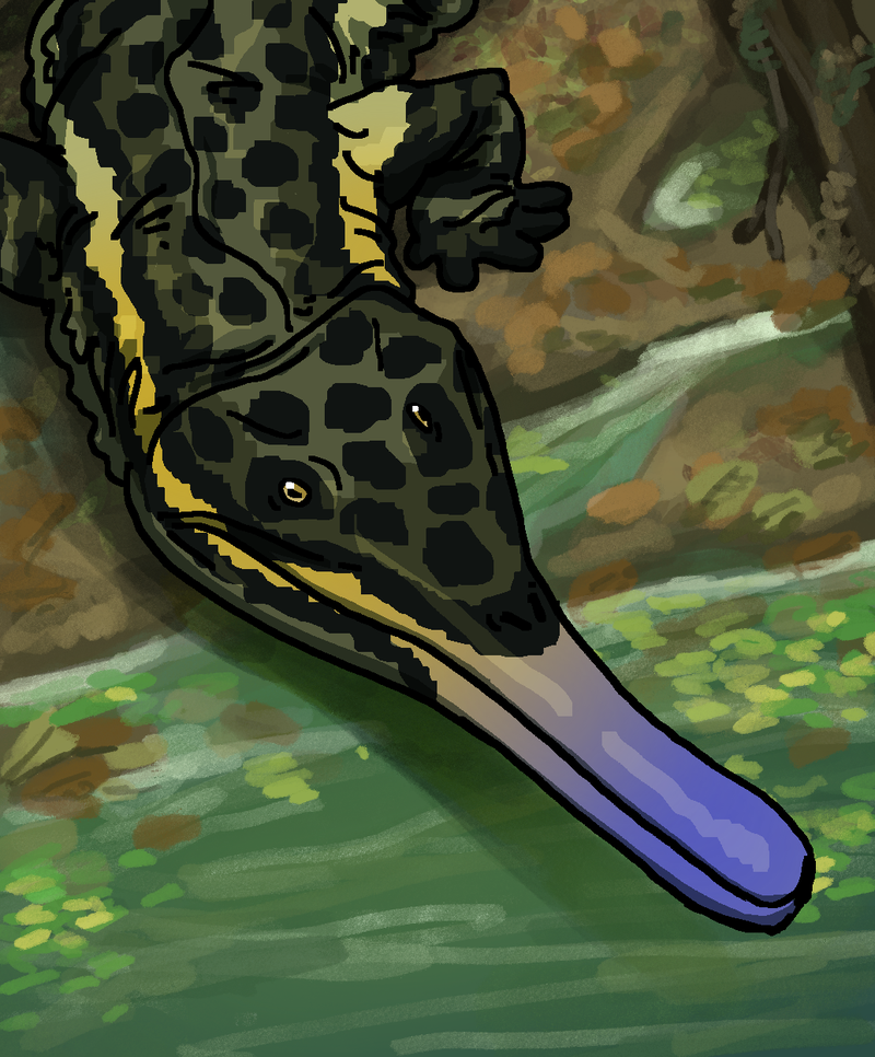 PrionosuchusBanded