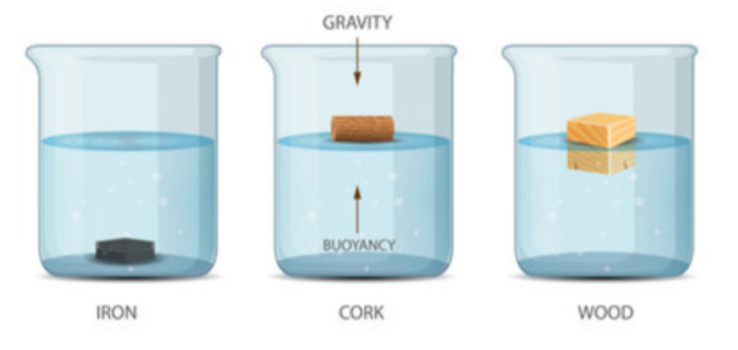 Different buoyancies