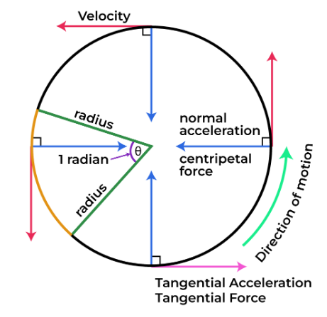 Centripetal Acceleration