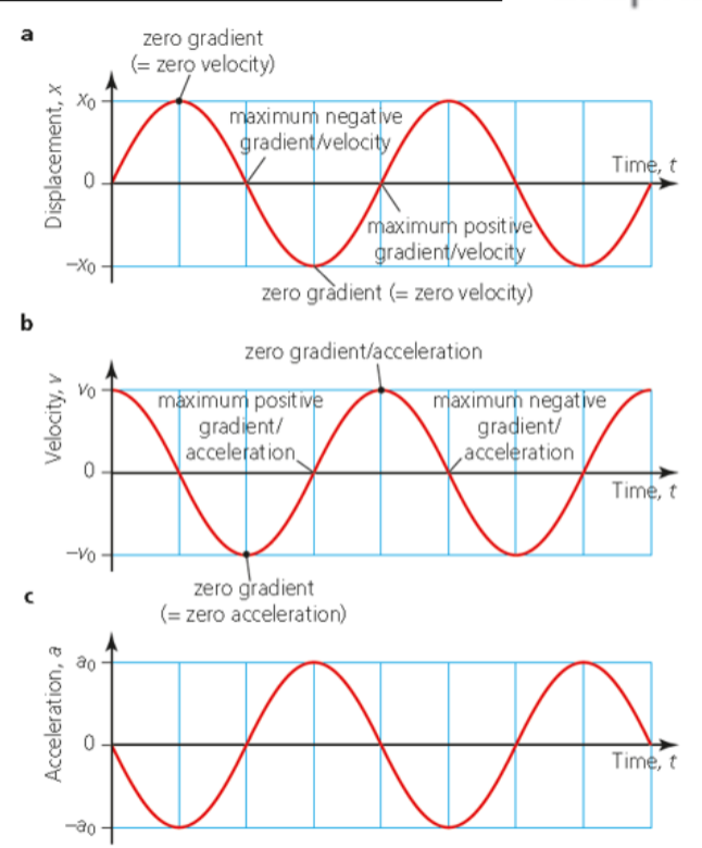 SHM graphs