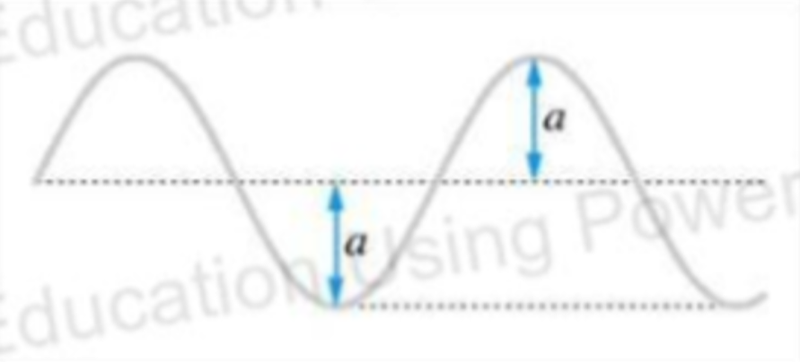 Amplitude