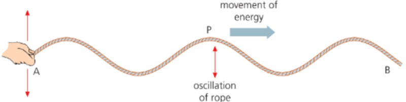 Rope wave