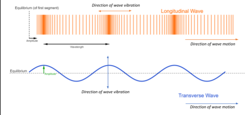longitudinal vs transverse