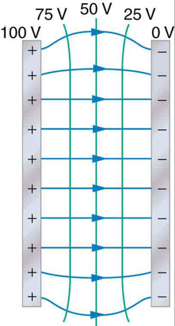 Equipotential lines