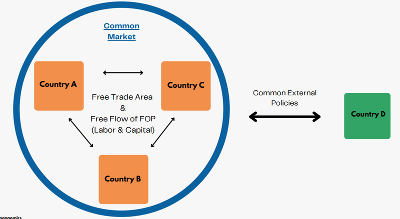 Screenshot 2026-02-19 193941