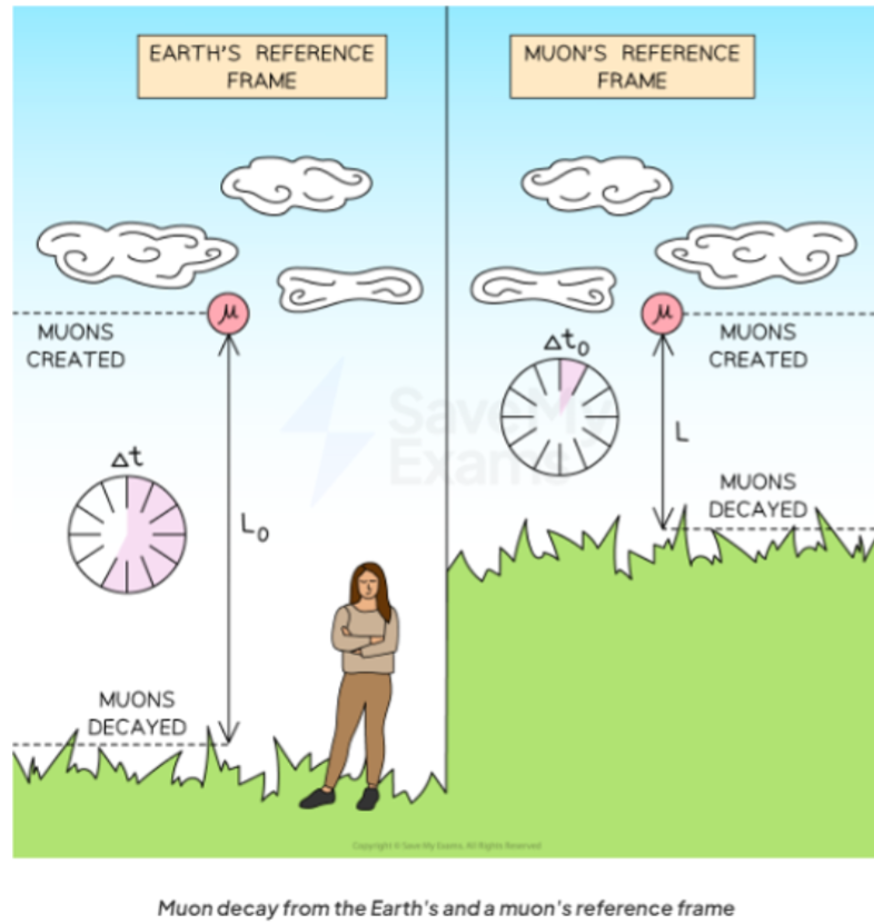 Muon lifetime experiment