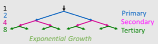 Chain reactions diagram