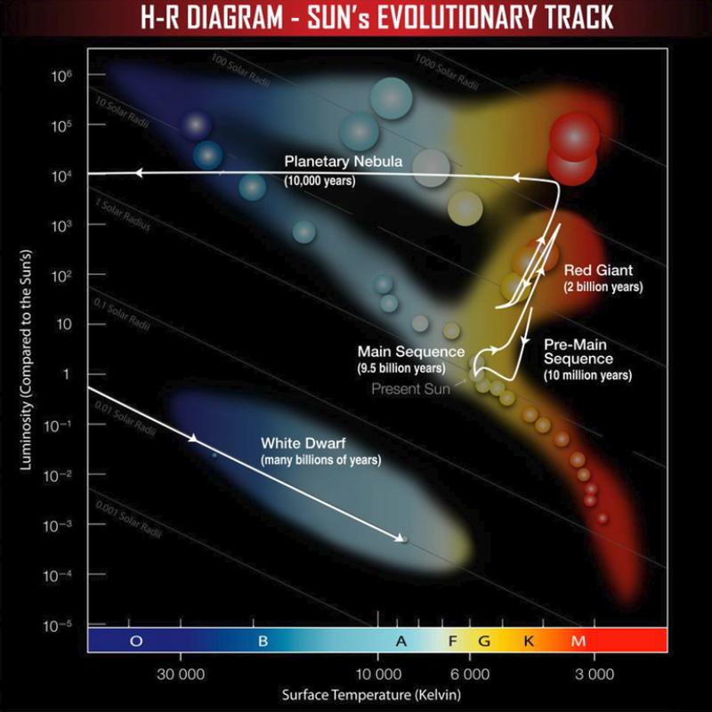 Evolutionary path of the sun