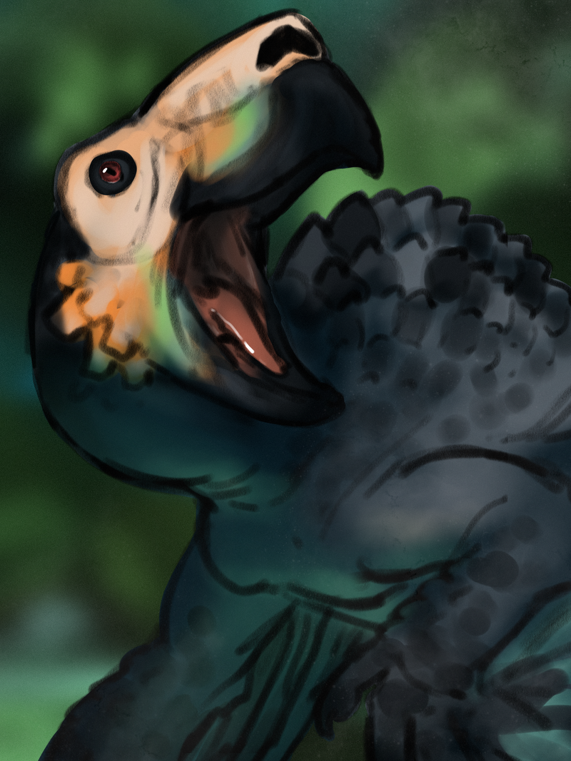 Smaugust2