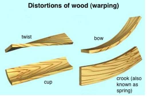 wooddistortusrex